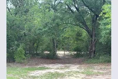 3561 Elm Road, Marianna, FL 32448 - Photo 12