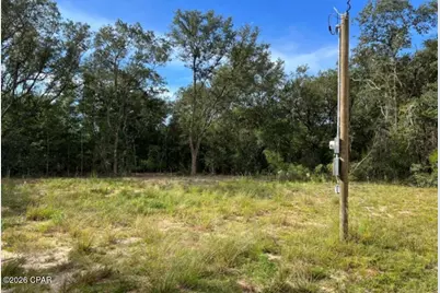 3561 Elm Road, Marianna, FL 32448 - Photo 6