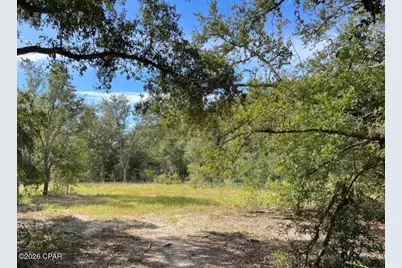 3561 Elm Road, Marianna, FL 32448 - Photo 8