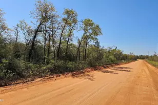 Lot 5 Peppervine Pl, Chipley, FL 32428 - Photo 1