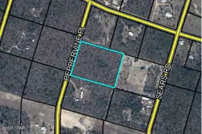 Lot 5 Peppervine Place, Chipley, FL 32428 - Photo 4