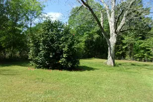 402 Hatcher Dr, Bonifay, FL 32425 - Photo 30