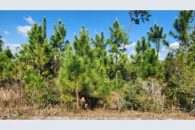 2727 Sting Ray Road, Panama City, FL 32404 - Photo 4