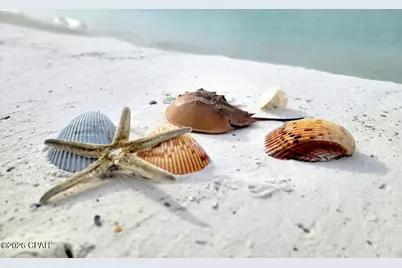 118 W Chickasaw Lane, Port Saint Joe, FL 32456 - Photo 18