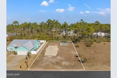 123 White Blossom Trail, Port Saint Joe, FL 32456 - Photo 2