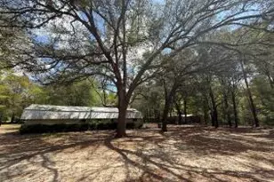 460 Marten Ln, Holt, FL 32564 - Photo 16