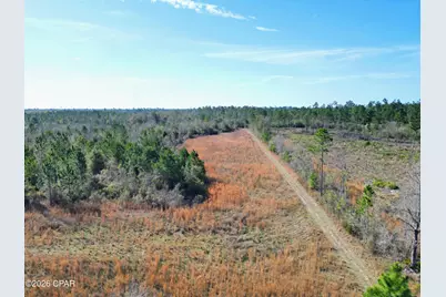 Xx Cook/Cain Road, Clarksville, FL 32430 - Photo 4