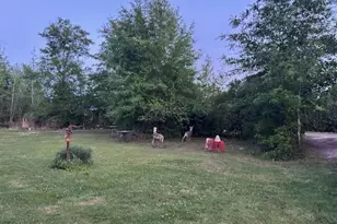 7345 Coe Rd, Panama City, FL 32404 - Photo 4