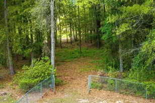 2694 Marian Dr, Bonifay, FL 32425 - Photo 78