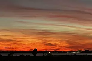 1516 S Kimbrel Ave, Panama City, FL 32404 - Photo 34