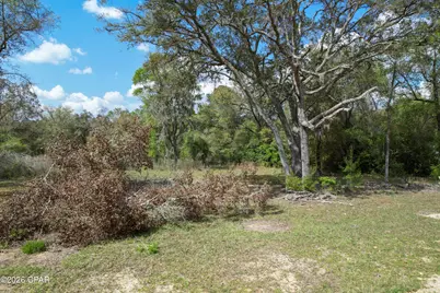 4006 Wood Duck Trail, Chipley, FL 32428 - Photo 8