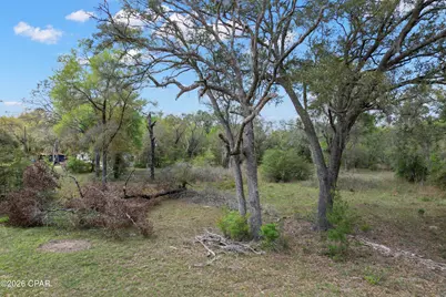 4006 Wood Duck Trail, Chipley, FL 32428 - Photo 6