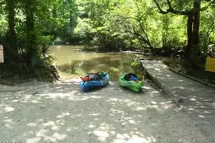 [Address not provided], Kinard, FL 32449 - Photo 6