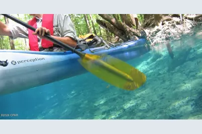 [Address not provided], Kinard, FL 32449 - Photo 8