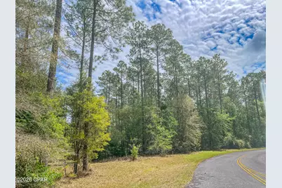 0004 Cypress Crossing Road, Vernon, FL 32462 - Photo 8