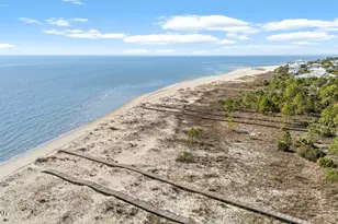 2298 Indian Pass Rd, Port Saint Joe, FL 32456 - Photo 42