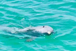 3515 W 19th St, Panama City, FL 32405 - Photo 78