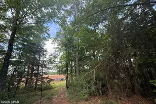 3171 Hwy 73, Marianna, FL 32446 - Photo 10