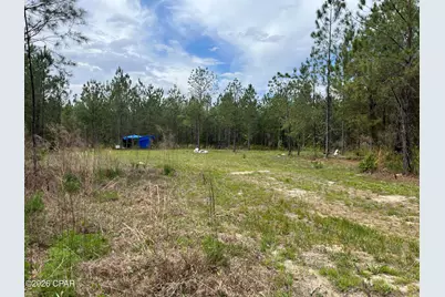 20460 Florida 71, Blountstown, FL 32424 - Photo 6