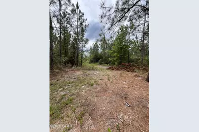 20460 Florida 71, Blountstown, FL 32424 - Photo 8