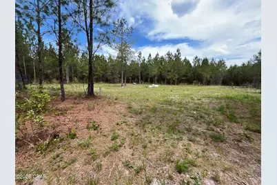 20460 Florida 71, Blountstown, FL 32424 - Photo 4