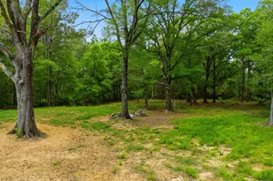 650 Satellite Rd, Graceville, FL 32440 - Photo 46