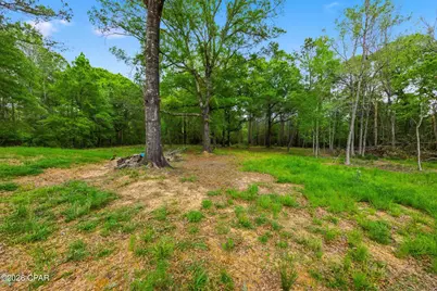 650 Satellite Road, Graceville, FL 32440 - Photo 40