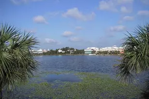 105 Carillon Market St, Panama City Beach, FL 32413 - Photo 8