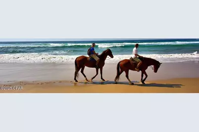 373 Rhonda Del Sol Circle, Port Saint Joe, FL 32456 - Photo 66