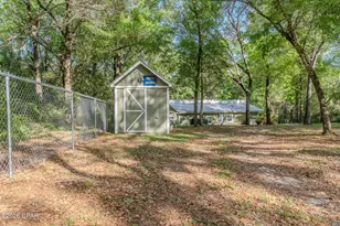 4651 Moss Hill Rd, Chipley, FL 32428 - Photo 4