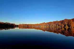 4651 Moss Hill Rd, Chipley, FL 32428 - Photo 26