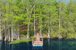 4651 Moss Hill Rd, Chipley, FL 32428 - Photo 20