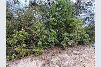 19678 Walsh Road, Fountain, FL 32438 - Photo 16