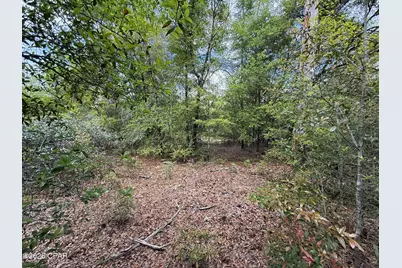 19678 Walsh Road, Fountain, FL 32438 - Photo 6