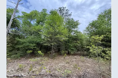 19678 Walsh Road, Fountain, FL 32438 - Photo 4