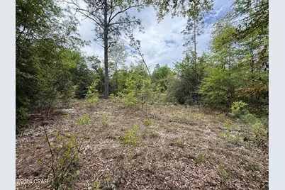 19678 Walsh Road, Fountain, FL 32438 - Photo 1