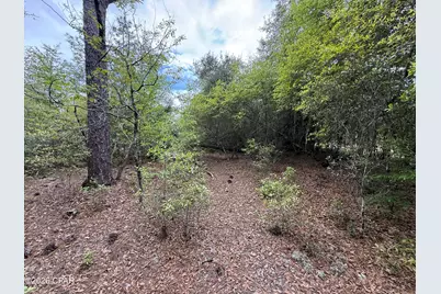 19678 Walsh Road, Fountain, FL 32438 - Photo 2