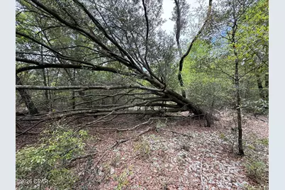 19678 Walsh Road, Fountain, FL 32438 - Photo 8