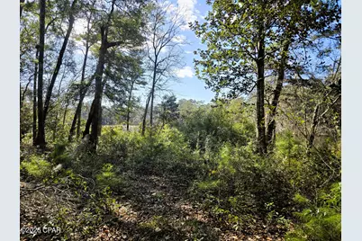 0 Yvonne Court, Havana, FL 32333 - Photo 6