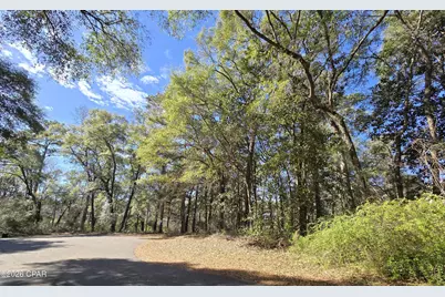 0 Yvonne Court, Havana, FL 32333 - Photo 10