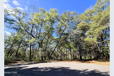 0 Yvonne Court, Havana, FL 32333 - Photo 2