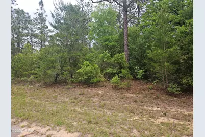 00 Statler Avenue #00000000-01-0089-0010, Chipley, FL 32428 - Photo 1