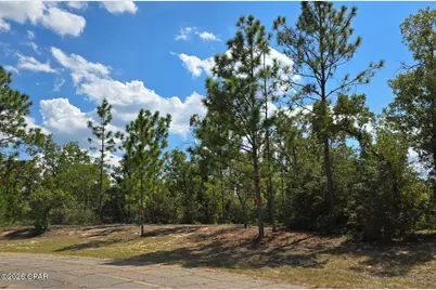Lot 6 Trellis Drive, Chipley, FL 32428 - Photo 4