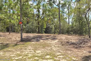 Lot 6 Trellis Dr, Chipley, FL 32428 - Photo 1