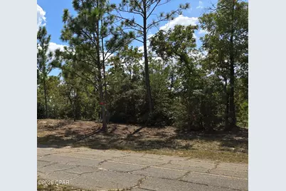 Lot 6 Trellis Drive, Chipley, FL 32428 - Photo 2