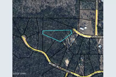 0 Sandoval Court, Alford, FL 32420 - Photo 2