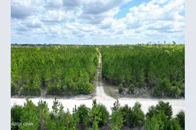 30 Acres NW Melvin Road, Clarksville, FL 32430 - Photo 6