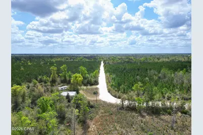 37 Acres NW Melvin Road, Clarksville, FL 32430 - Photo 6