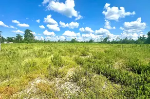 12810 Hwy 231, Youngstown, FL 32466 - Photo 1