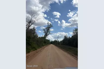 0 Iron Bridge Road, Marianna, FL 32448 - Photo 8